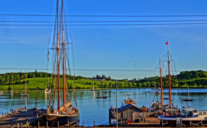 Our “Go To”&nbsp;Place