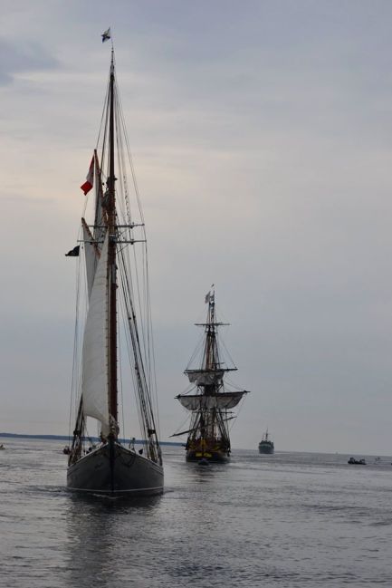 11731569_854297147996971_6617799032755565646_o