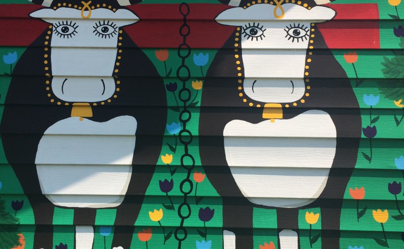 Ox Pulls- summer&nbsp;2016