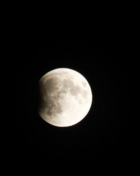 12079254_10153556753475446_1626671445496820021_n