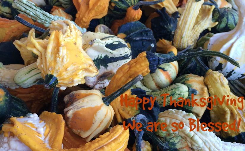 Give thanks with a grateful&nbsp;heart