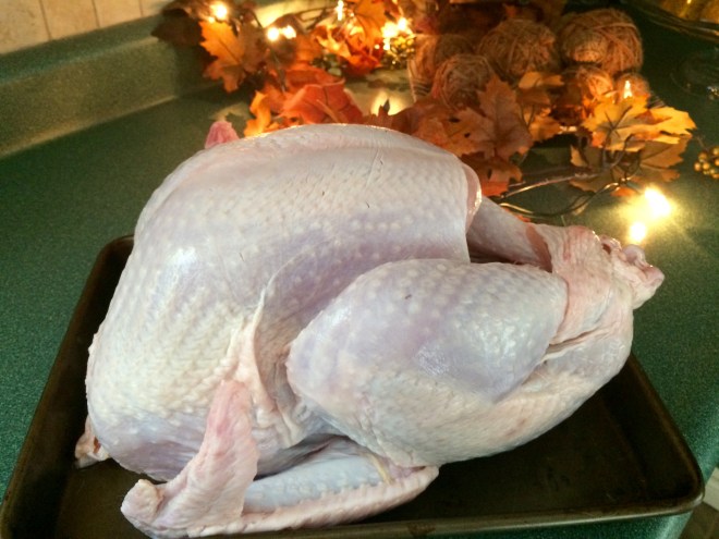 Turkey ready for the pot