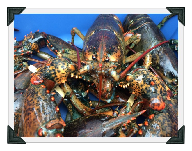 Lobster 2