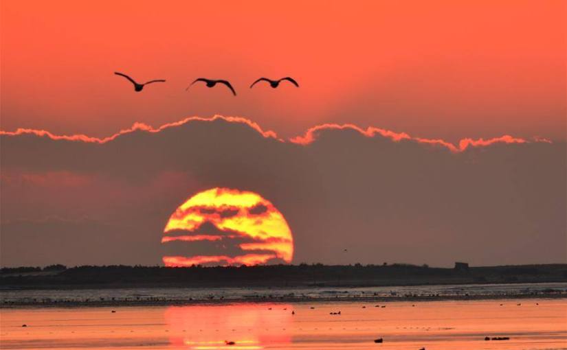 新年快乐 🎉🎉🎉🎉🐒