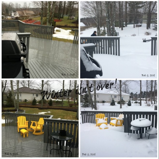 Screen Shot 2016-02-09 at 10.02.32 AM