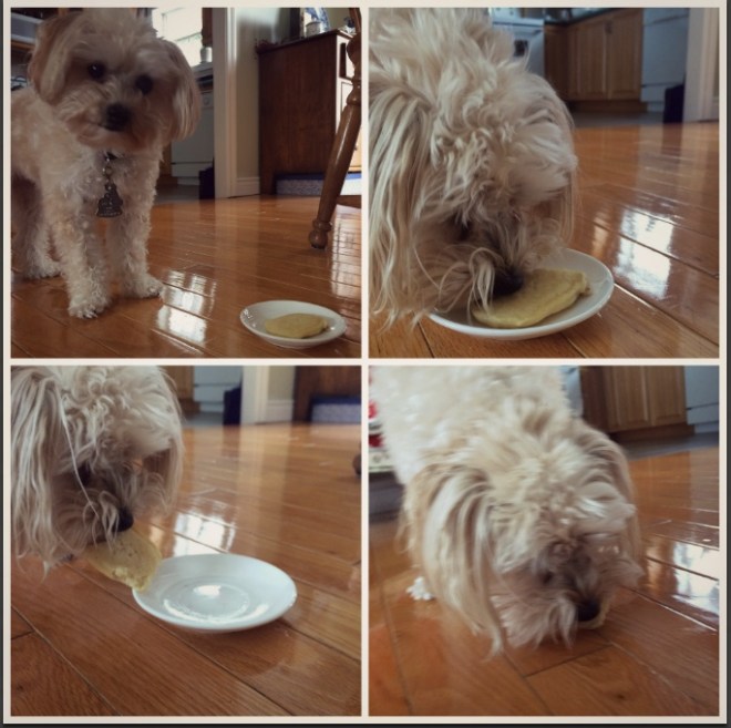 Screen Shot 2016-02-09 at 12.28.42 PM