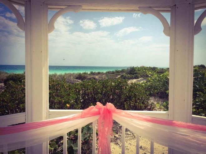 11219690_992533837481486_5044058821887863703_n