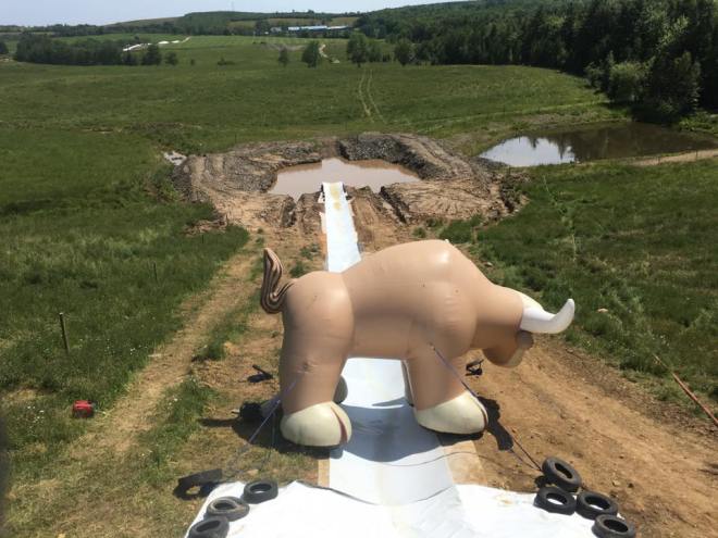 13528756_541104712741599_7723398123743383070_n