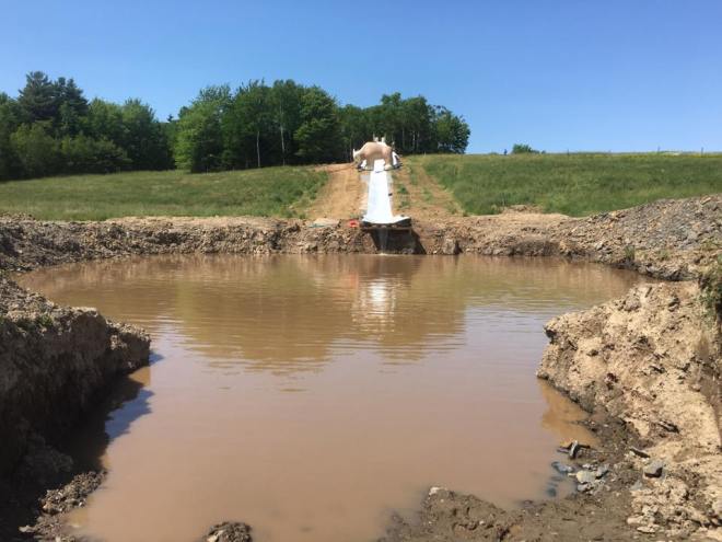 13529252_541104716074932_1211499719099636800_n