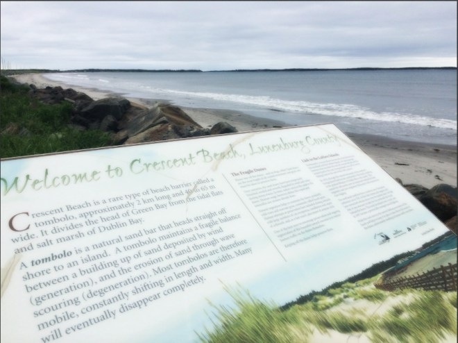 Screen Shot 2016-06-14 at 7.24.19 PM