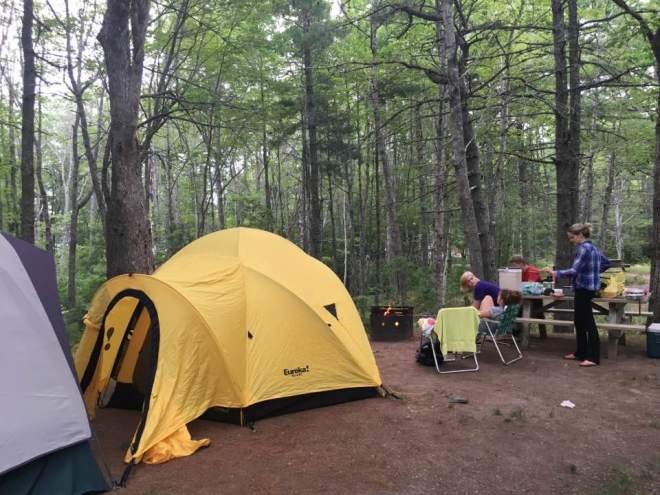 13895437_10154168191686858_4074808735755292475_n