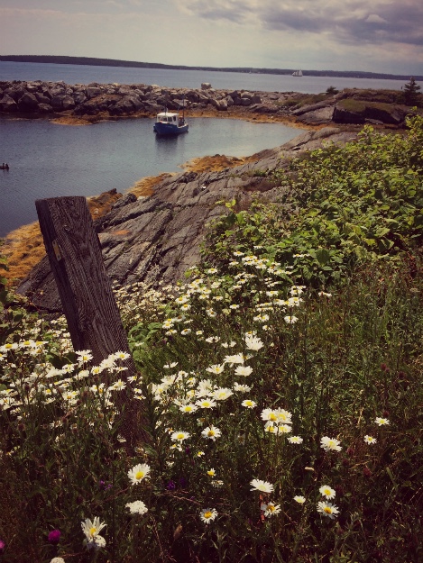 Screen Shot 2016-07-06 at 11.05.34 PM