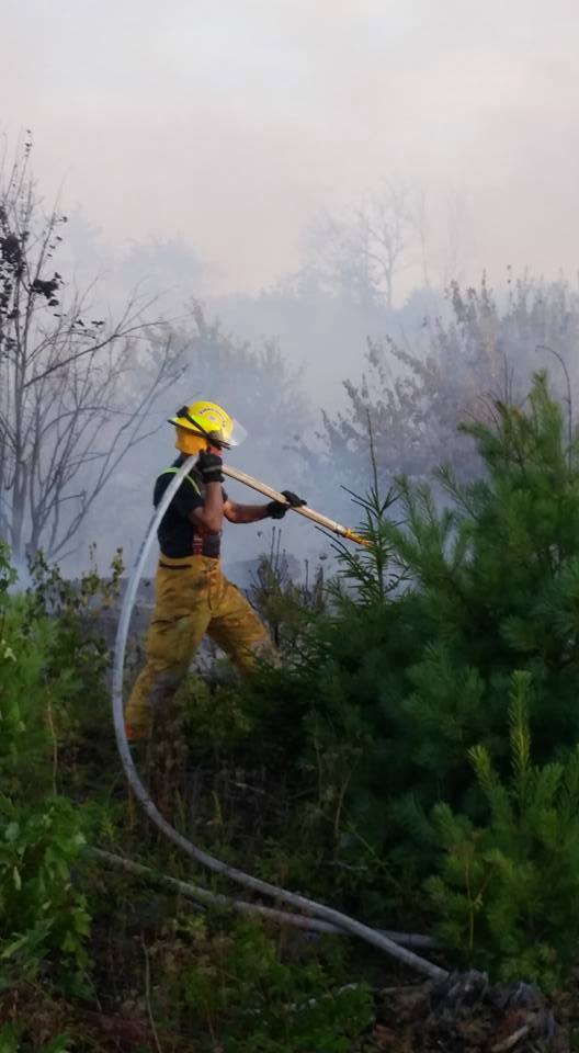 13872632_1356301614384747_5399182171994667095_n