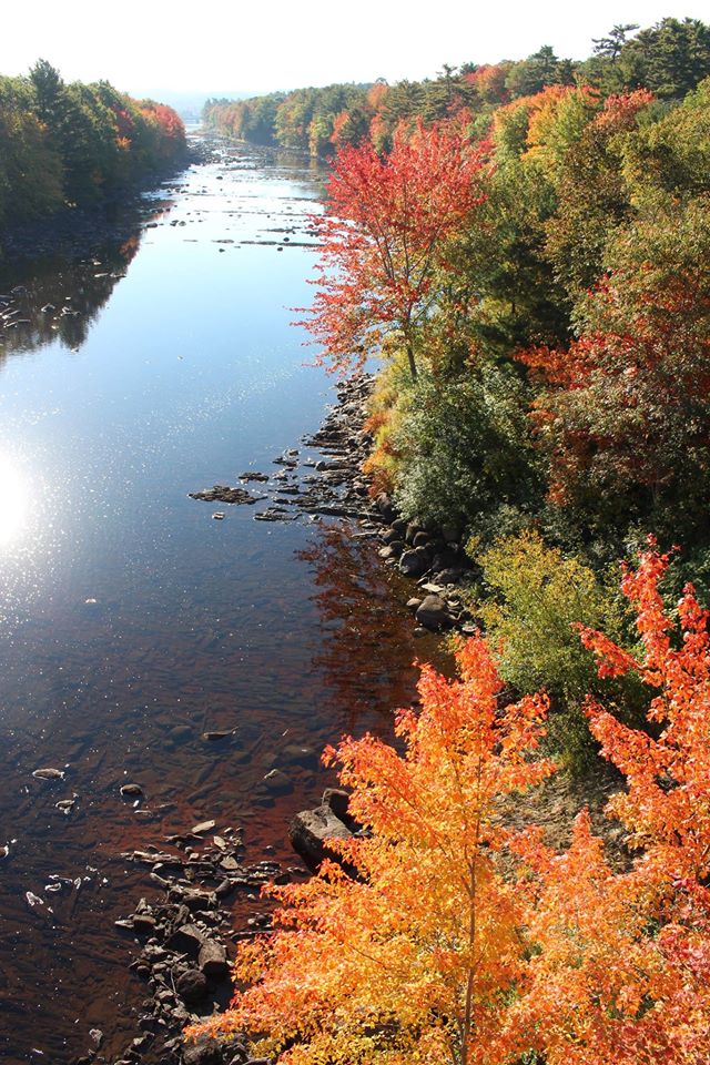 14570613_1133038980085054_1906106181967473911_o