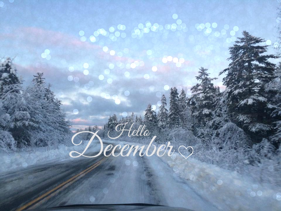 It’s December 1st! – Just An East Coast Girl