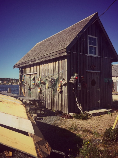 screen-shot-2016-10-11-at-8-48-59-pm