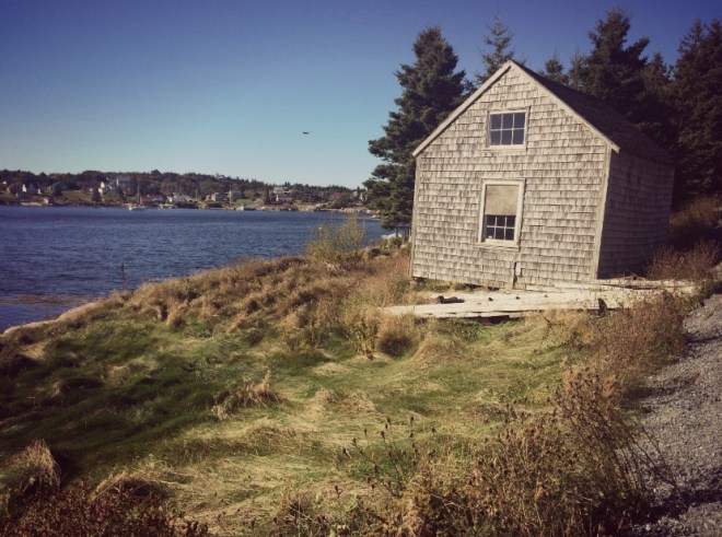 screen-shot-2016-10-11-at-8-49-59-pm