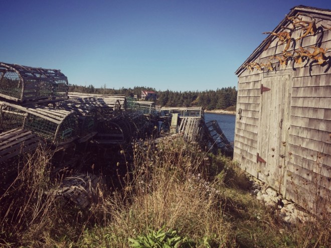 screen-shot-2016-10-11-at-8-50-40-pm