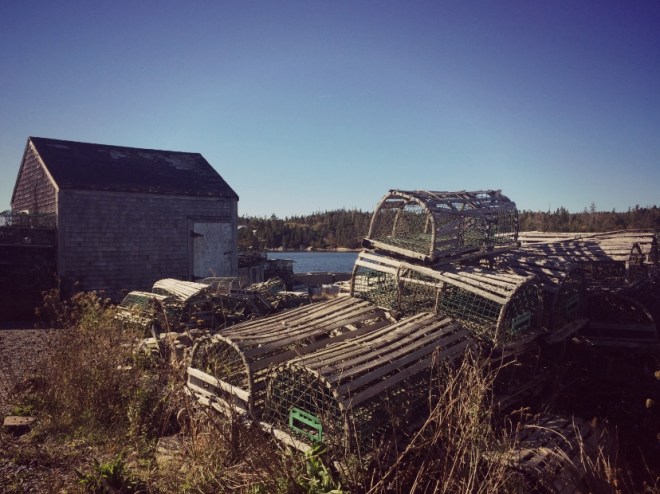 screen-shot-2016-10-11-at-8-51-27-pm