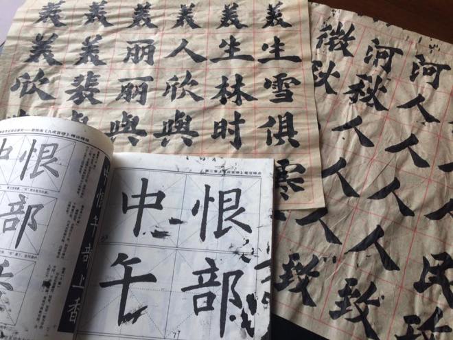 15337386_1166874110047457_4693065711546010733_n