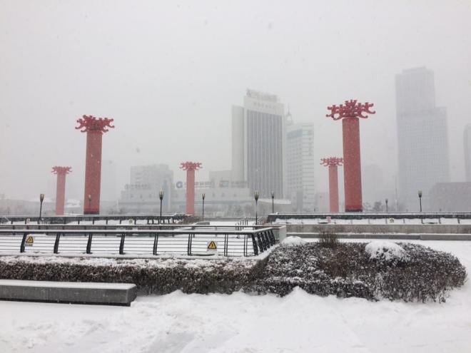 15390703_1169509279783940_2856259353785348787_n