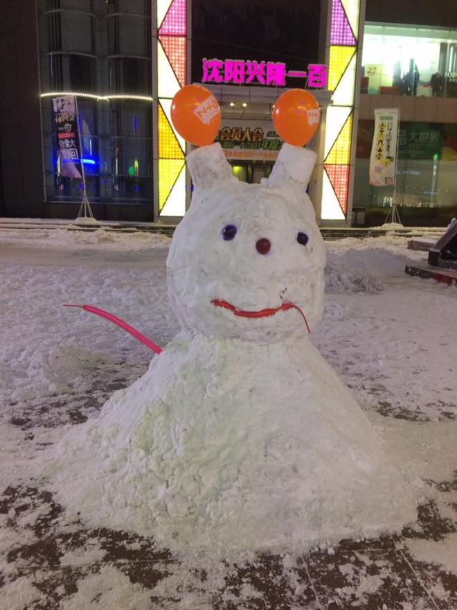 15390763_1169521853116016_3511331890713965964_n