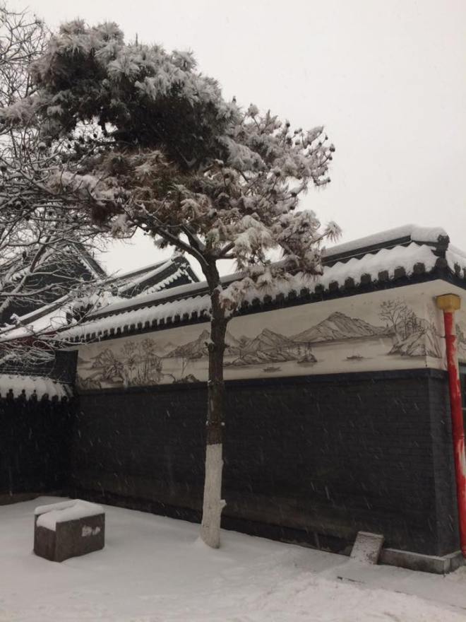 15439770_1169516263116575_3361194259767149906_n