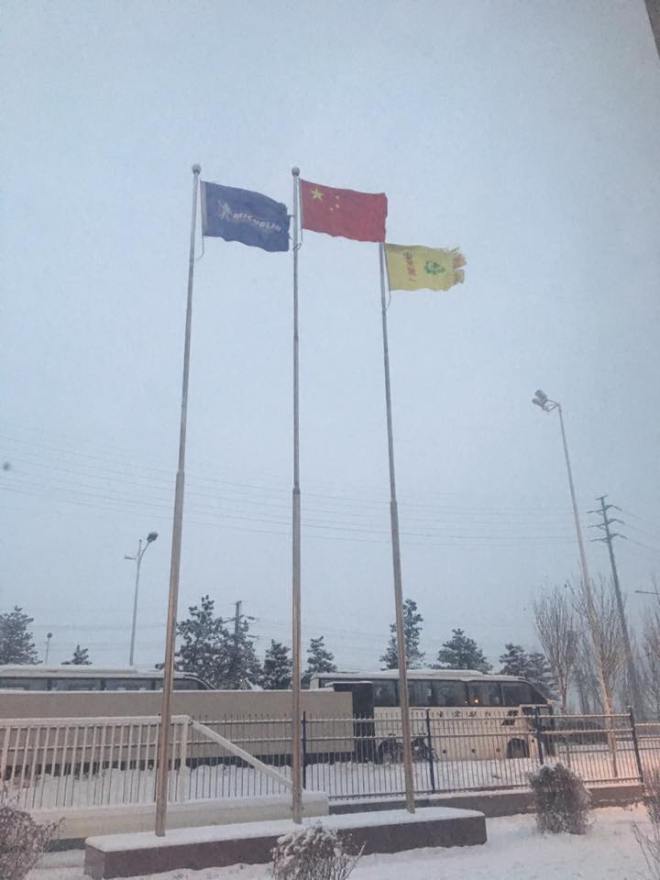 15439791_10154796062811514_4263087283756376453_n