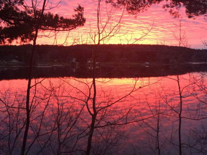 15741095_10154085527996120_5590682755498814959_n