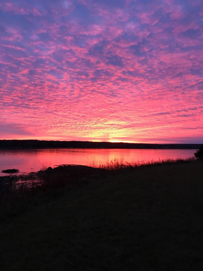 15781132_10208383084834883_5750157310065194270_n