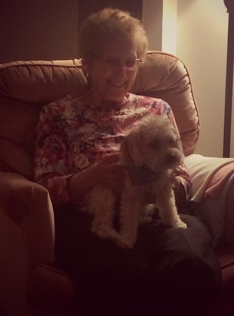 screen-shot-2016-12-25-at-11-19-19-pm