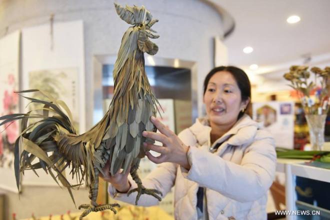 15974859_1406534116065068_6812082726701889110_o