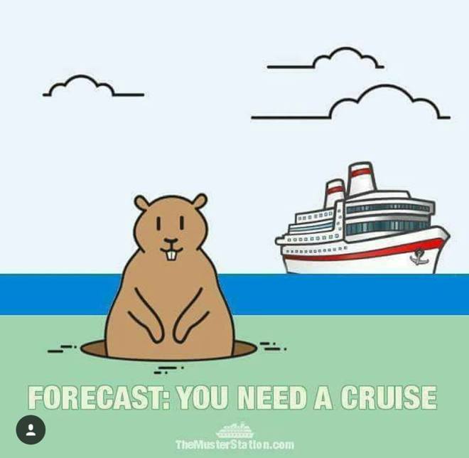 16388118_376025242757233_7364241378518488776_n