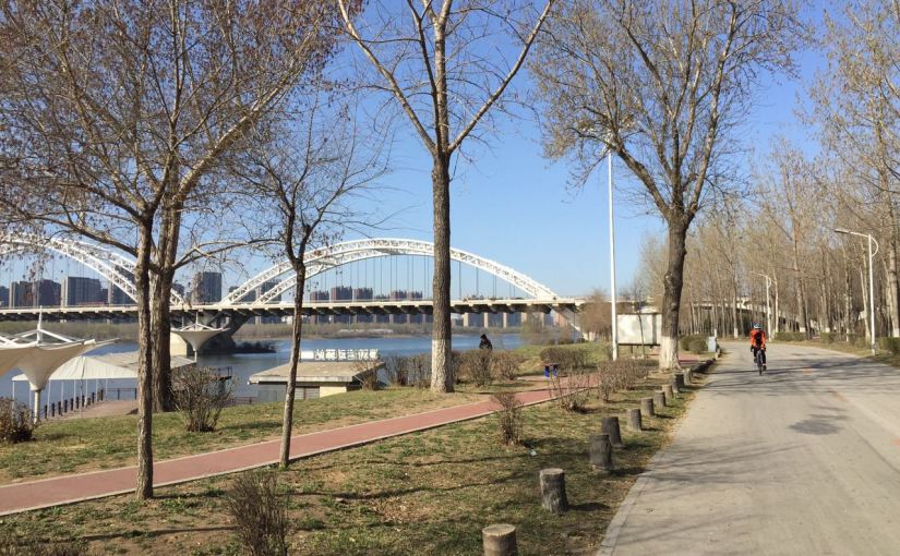 from Shenyang with love…&nbsp;🌸❤